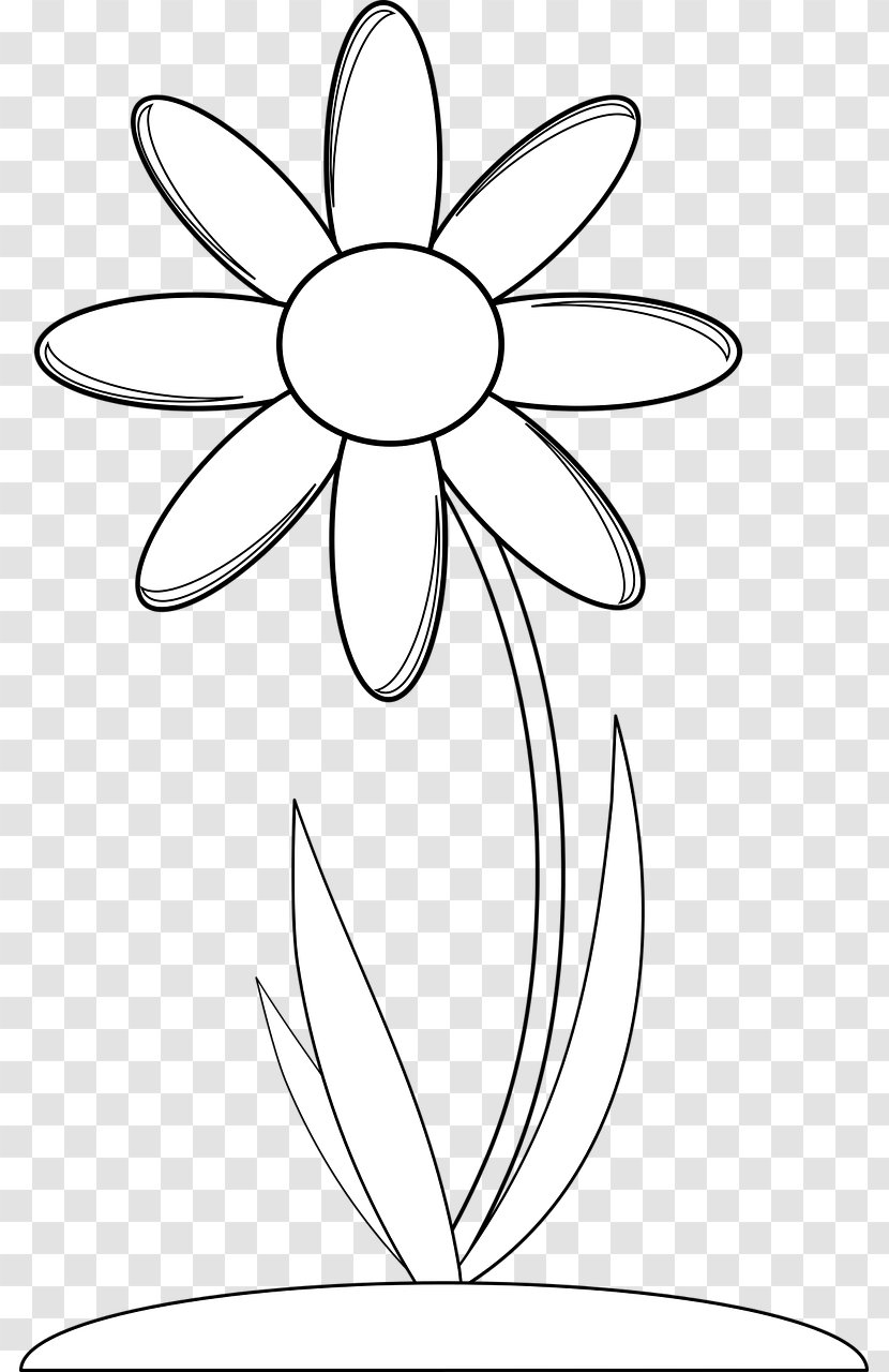 Flower Drawing Clip Art - White Transparent PNG