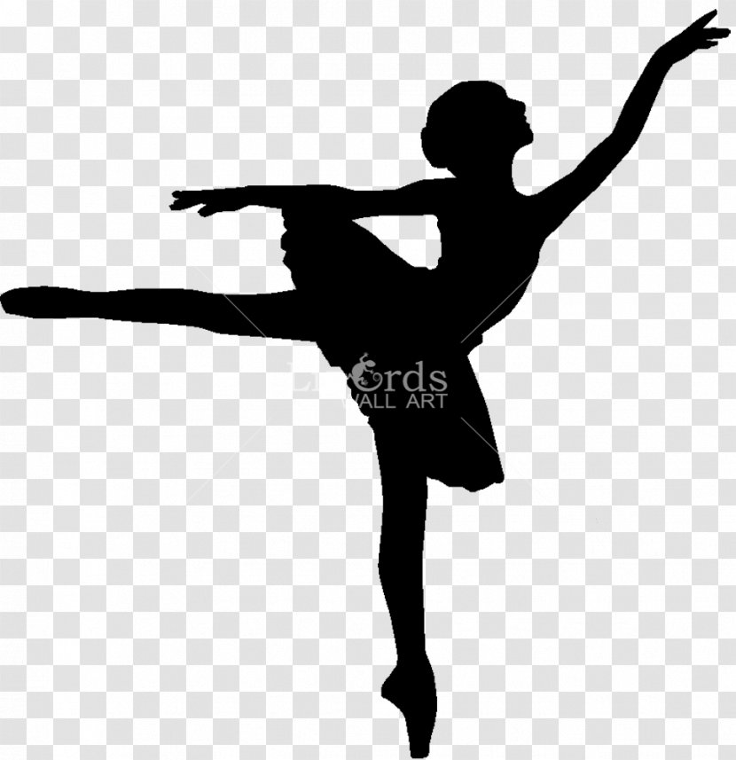 Ballet Dancer Drawing Silhouette - Tree Transparent PNG