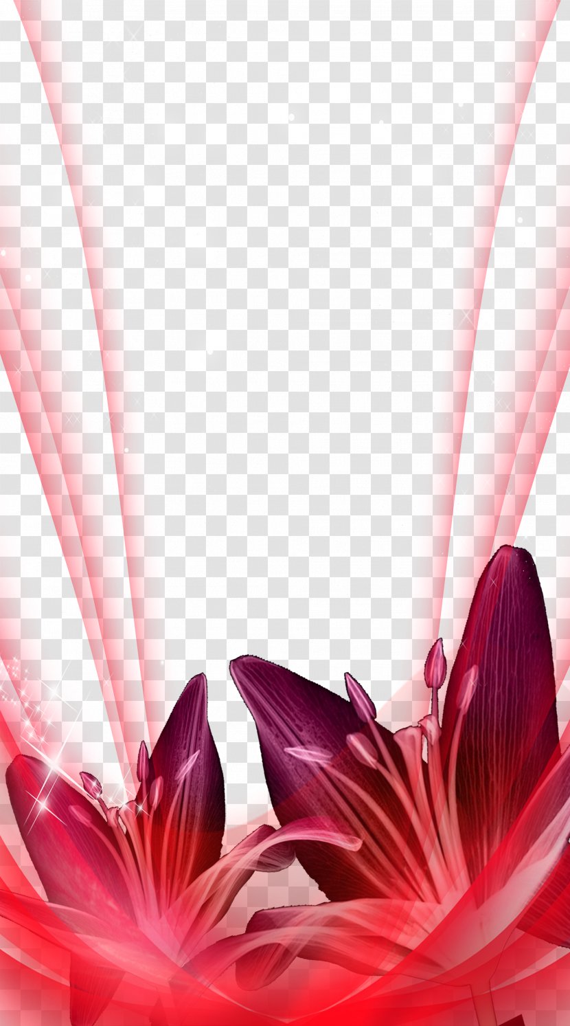 Red Wallpaper - Dahlia - Beautiful Tulips Background Material Transparent PNG