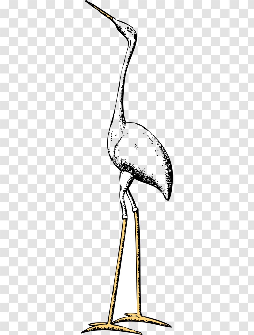 Marabou Stork Crane Bird Ciconia Clip Art - Free Clipart Transparent PNG