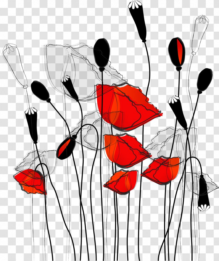 Common Poppy Curtain Flower Wallpaper - Line Illustration Transparent PNG