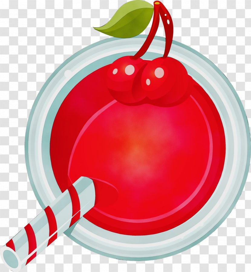 Watercolor Holiday - Ornament - Plant Transparent PNG