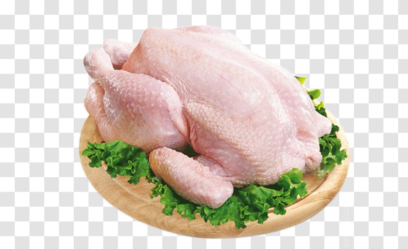 Meat Broiler Bird Chicken Anser - Turkey Transparent PNG