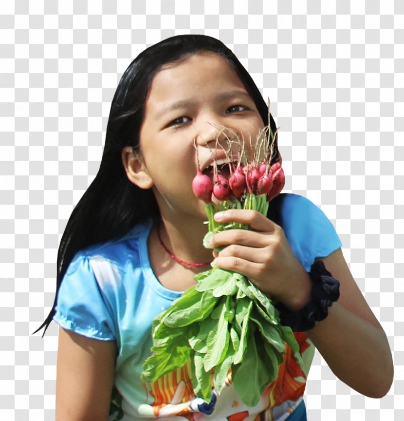 RadishGirl Leaf Vegetable Food Eating - Leadership Transparent PNG