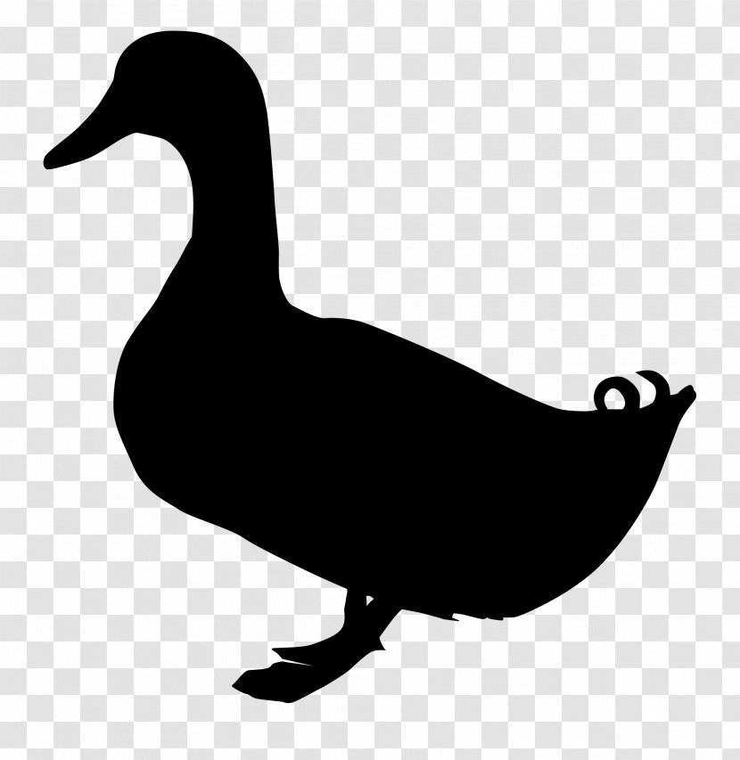Duck Goose - Bird Transparent PNG
