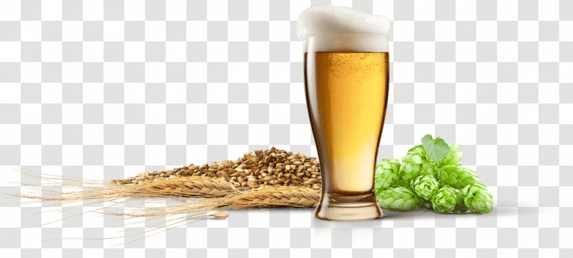 Beer Brewing Grains & Malts Yeast Brewery Glasses Transparent PNG