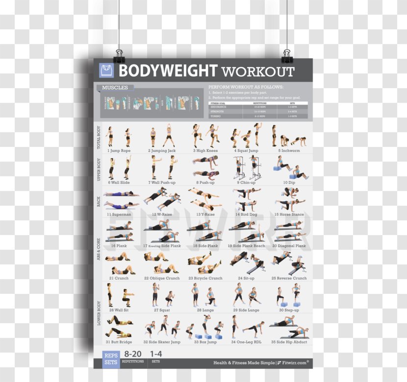 Bodyweight Exercise Abdominal Equipment Fitness Centre - Brand - Posters Transparent PNG