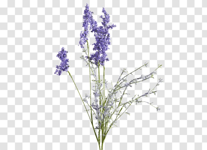 English Lavender Artificial Flower Plant Stem Violet - Twig - Lavanda Transparent PNG
