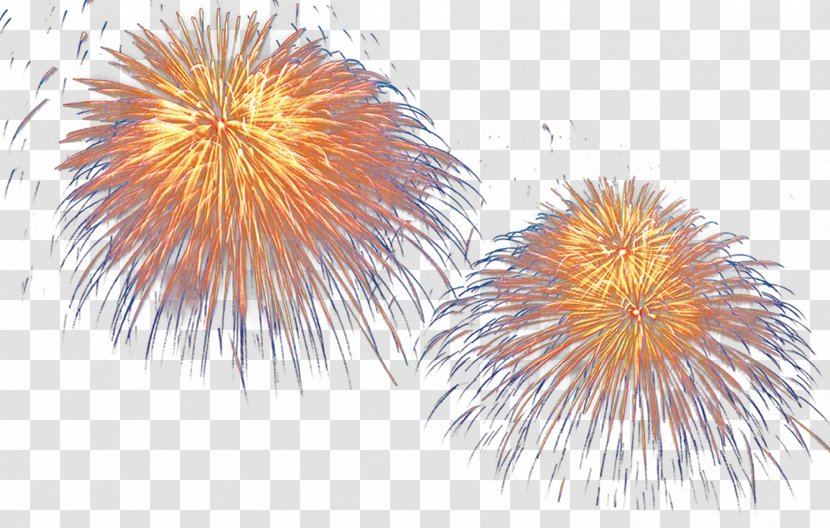 LInternational Des Feux Loto-Quxe9bec Sumidagawa Fireworks Festival - Beautiful Transparent PNG