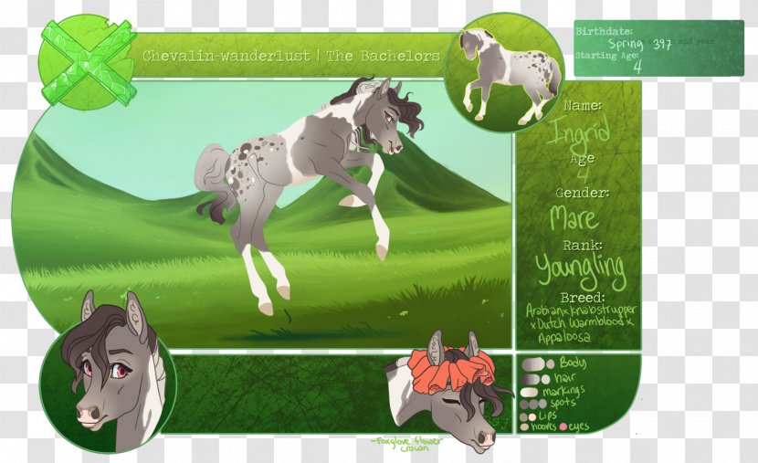 Pony Horse Green Advertising Ecosystem Transparent PNG