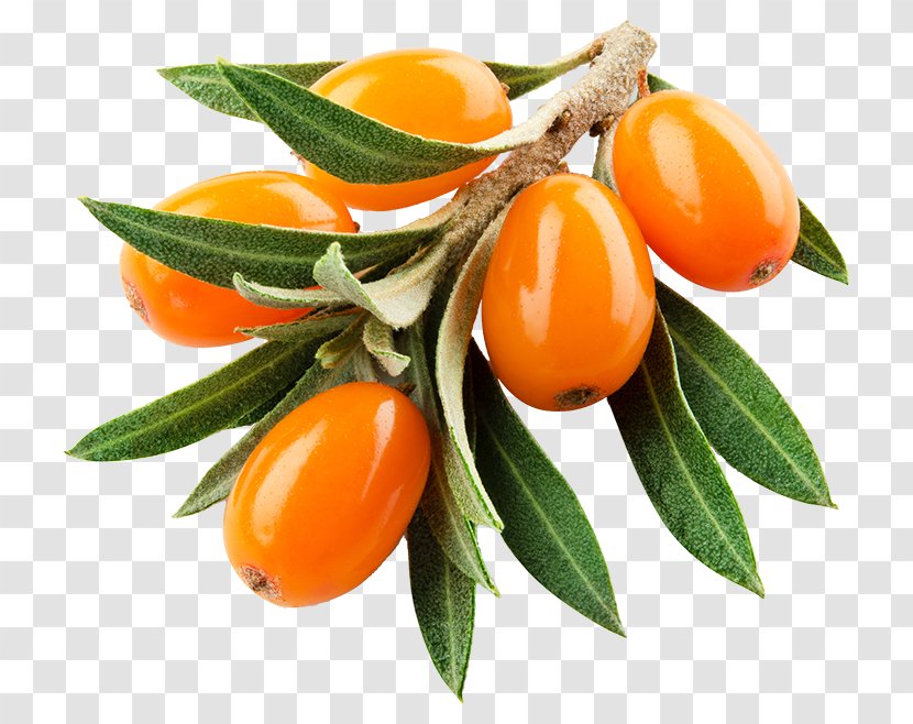 Orange Flower - Superfood - Mandarin Natural Foods Transparent PNG