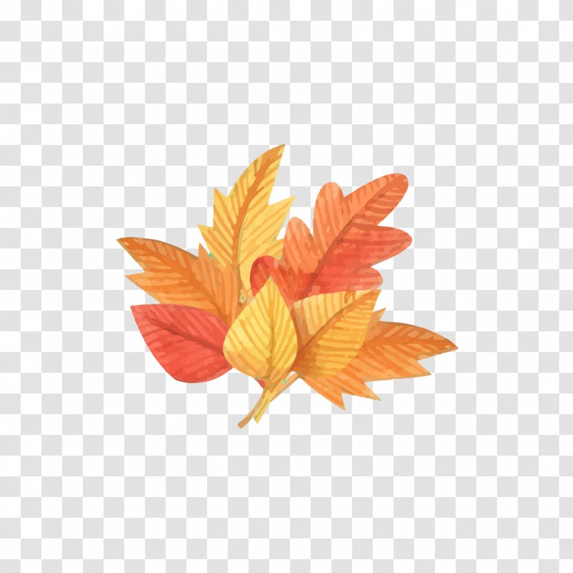 Leaf Autumn Euclidean Vector Deciduous Download - Maple - Falling Leaves Together Transparent PNG