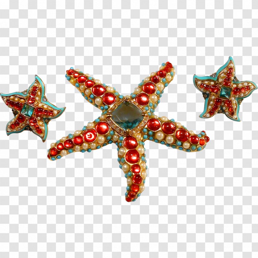Marine Invertebrates Starfish Echinoderm Christmas Ornament Transparent PNG