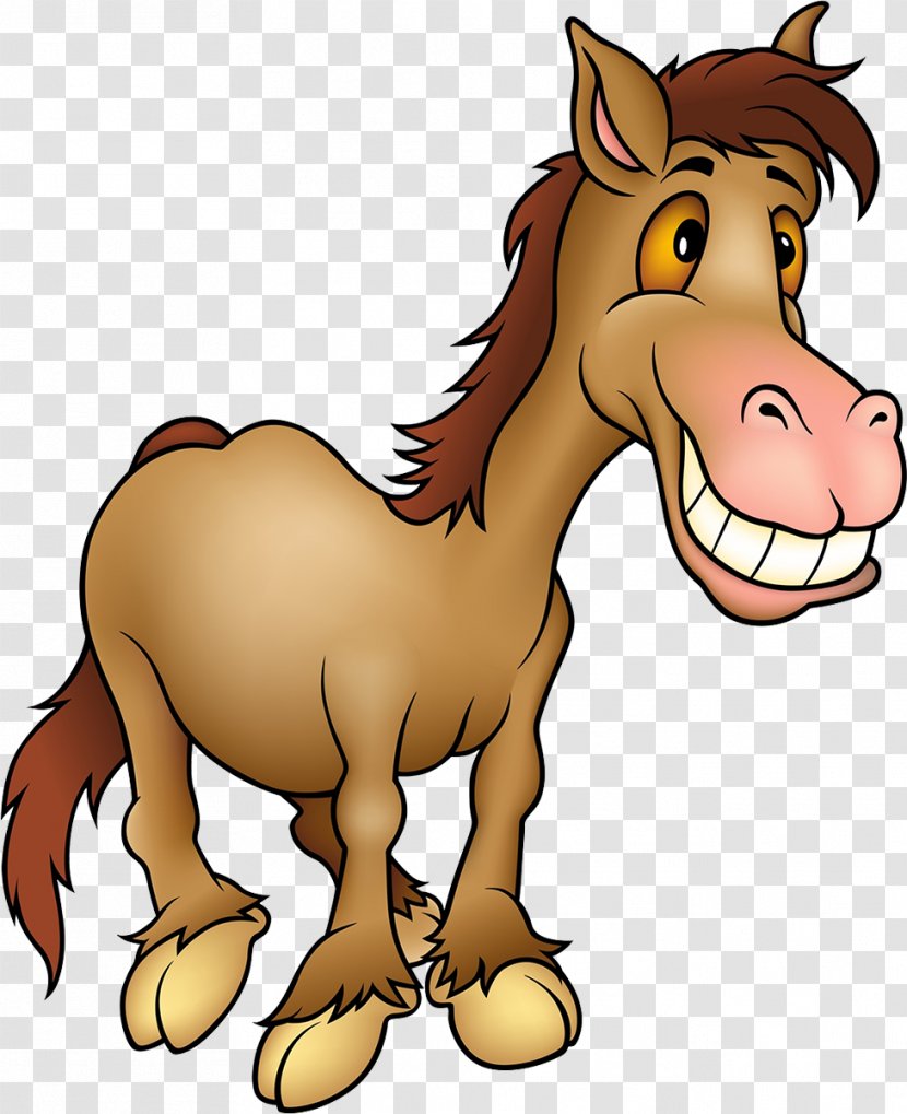 Horse Pony Clip Art - Livestock Transparent PNG