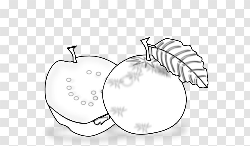 Guava Black And White Clip Art - Drawing - Cliparts Transparent PNG