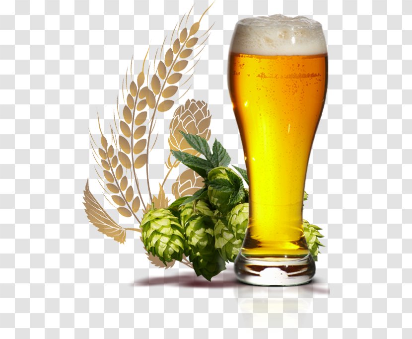 Wheat Beer India Pale Ale Glasses Style - Common Hop Transparent PNG