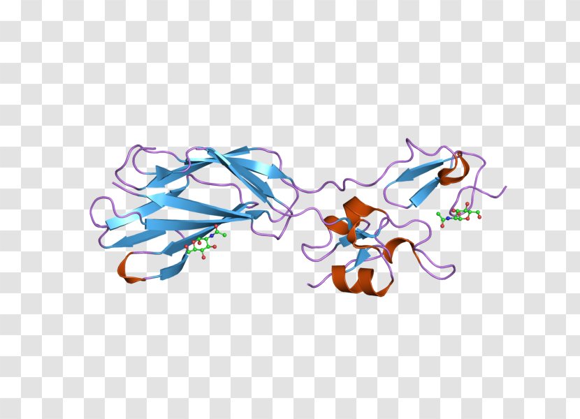 Integrin Beta 2 Protein Gene Biology - Tree - Flower Transparent PNG