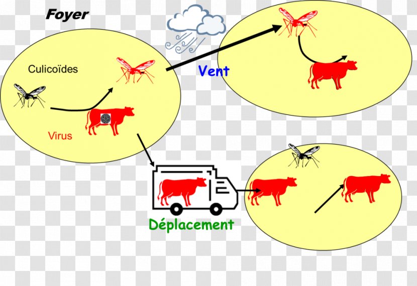 Sheep Cattle Bluetongue Disease Tuberculosis - Yellow Transparent PNG