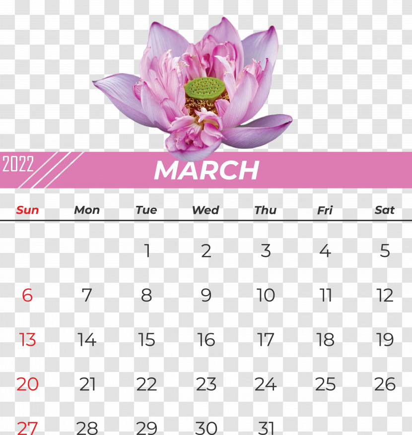 Flower Calendar Font Pink M Meter Transparent PNG