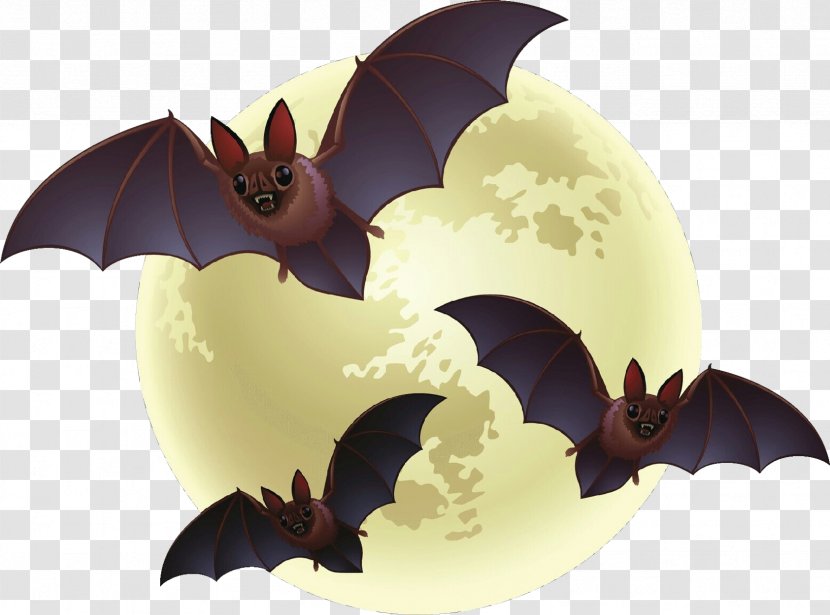 Dragon - Animation Transparent PNG