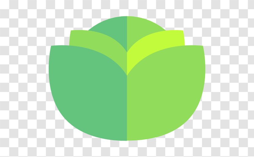 Lettuce Food - Vegetable Transparent PNG