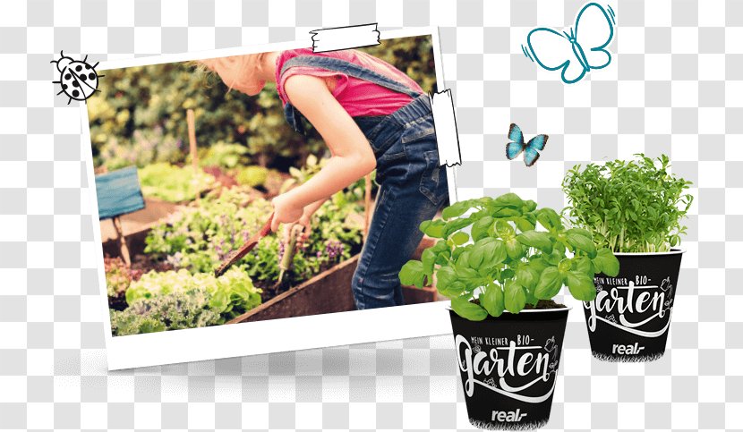 Flowerpot Plastic Herb Garden - Lawn - Kinder Transparent PNG