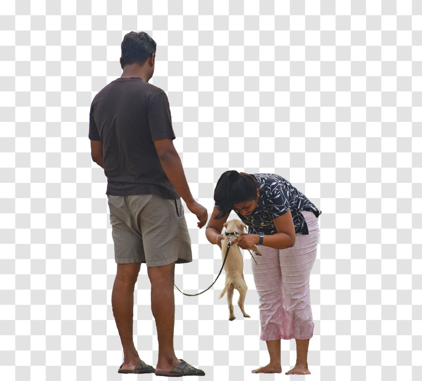 Dog Walking Pet Sitting - Standing - Couples People Transparent PNG