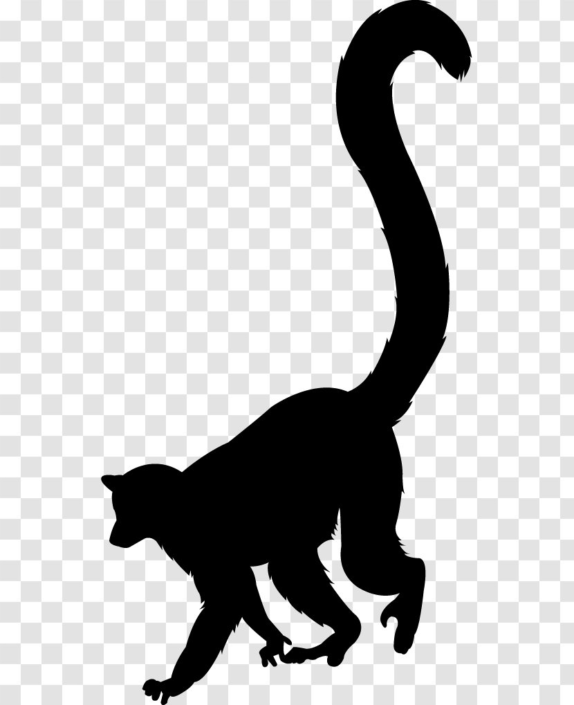 Cat Lemurs Silhouette Ring-tailed Lemur Clip Art - Small To Medium Sized Cats Transparent PNG
