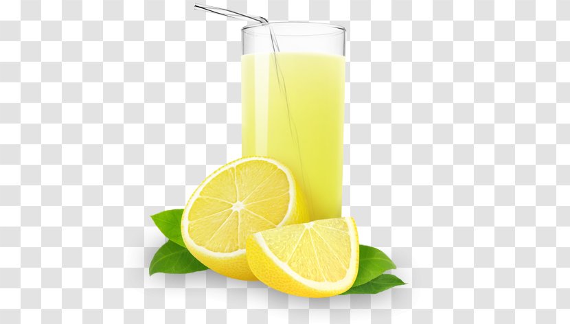 Orange Juice Lemonade Milkshake - Individual Retirement Account Transparent PNG