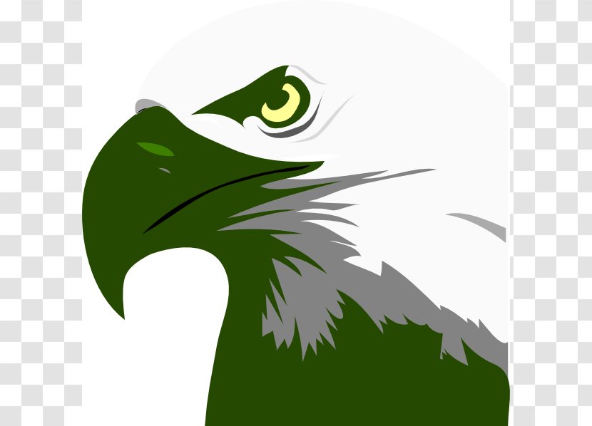 Bald Eagle Clip Art - Green Cliparts Transparent PNG