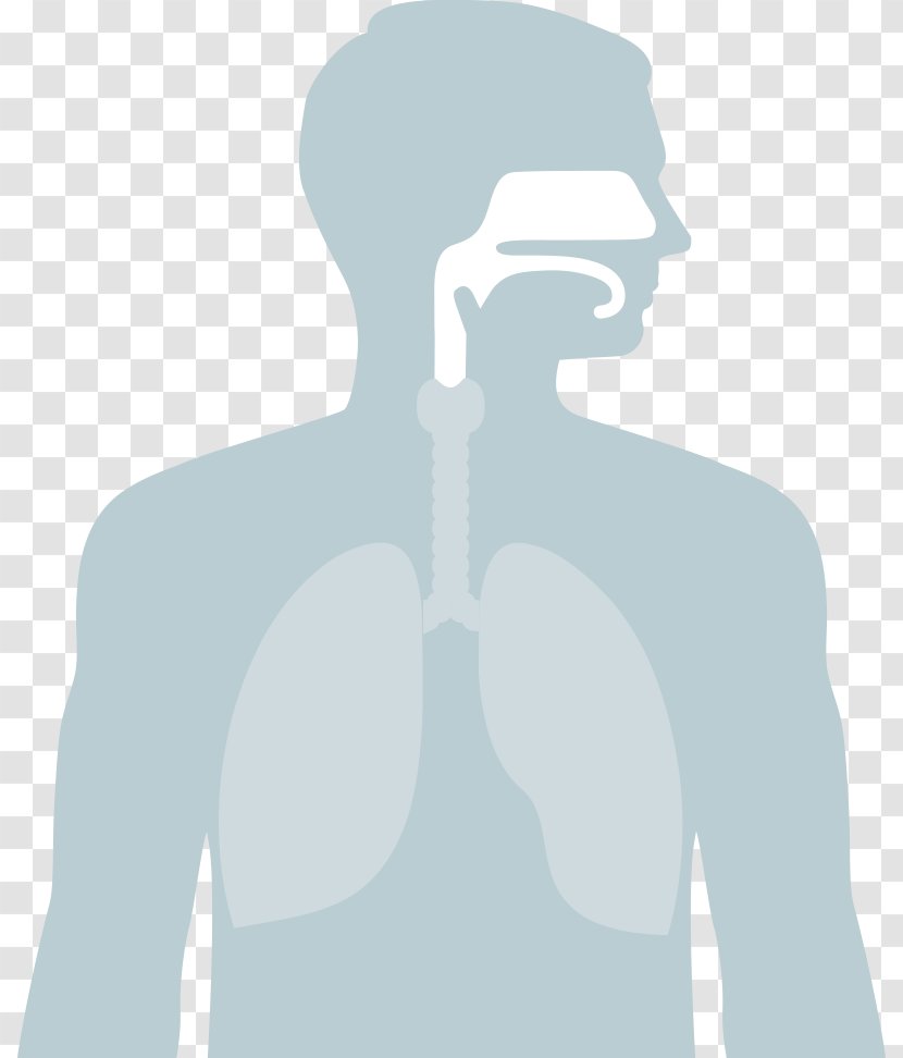 Sleep Apnea Health Positive Airway Pressure Medicine - Tree Transparent PNG