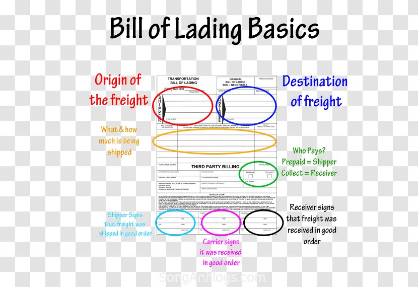 Bill Of Lading Export Transport Cargo Manifest - Common Carrier - Consignee Transparent PNG