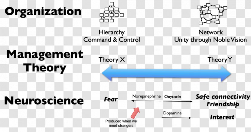 Theory X And Y Maslow On Management Organization Leadership - Area - Dopamine Transparent PNG
