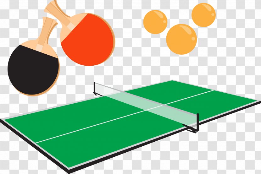 Table Tennis Racket Euclidean Vector - Material - Hand Painted Transparent PNG