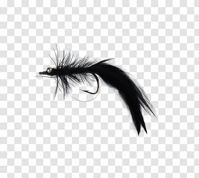 Customer Service Fly Fishing Holly Flies Brand Ambassador - Feather Transparent PNG