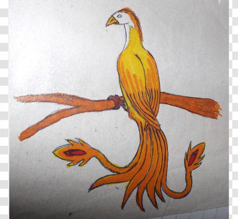 Painting Beak Feather Animal - Taobao Exquisite Transparent PNG