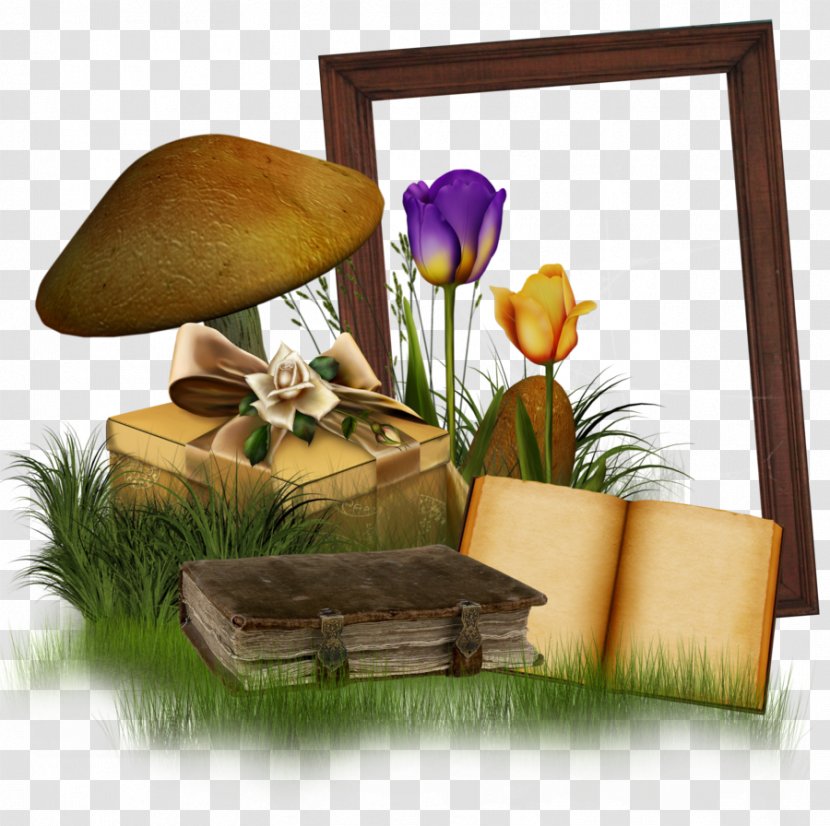 Clip Art - Film Frame - Book Transparent PNG