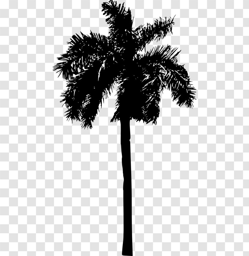 Palm Tree Silhouette - Elaeis - Peach Blackandwhite Transparent PNG