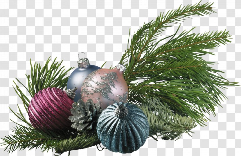 Christmas Tree Fir New Year Tinsel - Chris Pine Transparent PNG