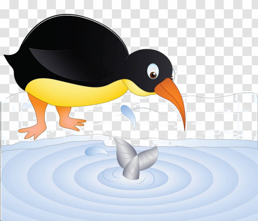Bird Cartoon Illustration - Animated - Duck Transparent PNG