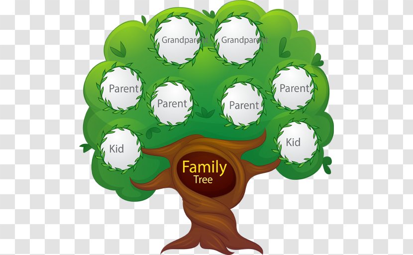 Family Tree Genealogy Clip Art - Reunion Transparent PNG