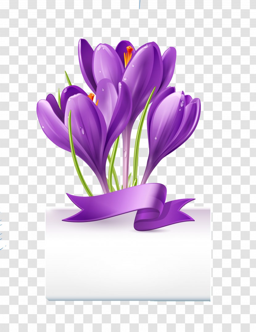 Royalty-free Crocus Stock Photography Flower - Purple Flowers Vector Material Transparent PNG