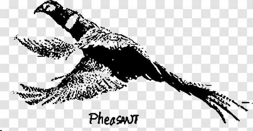 Green Pheasant Galliformes Feather Bird - Monochrome Transparent PNG