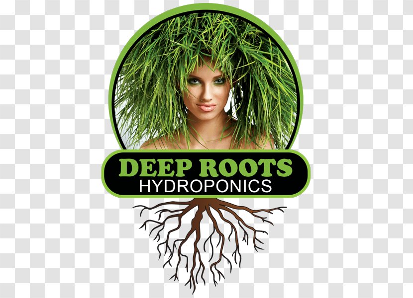 Deep Roots Hydroponics Sebastopol Retail - General Inc - Organic Hydroponic Farming Transparent PNG