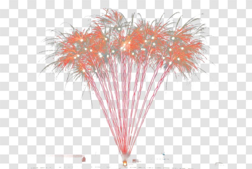 Tree Petal - Fireworks Transparent PNG