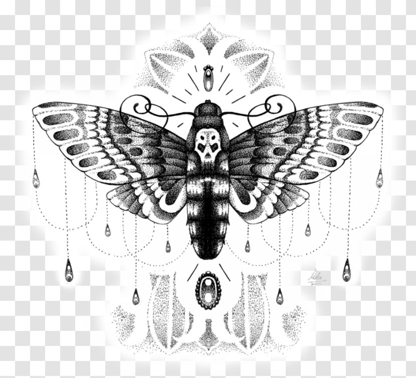 Butterfly African Death's Head Hawkmoth Insect Hawk Moths - Silkworm Transparent PNG