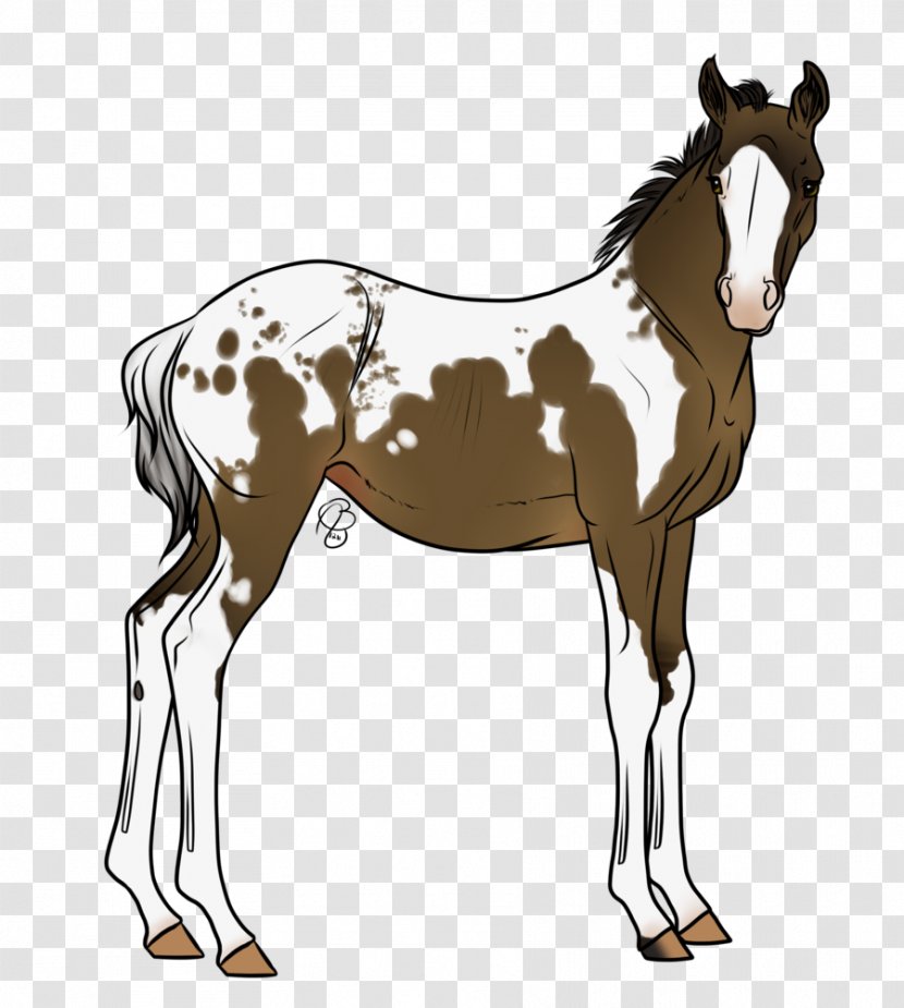 Mule Foal Mustang Stallion Mare - Rein - Canter And Gallop Transparent PNG