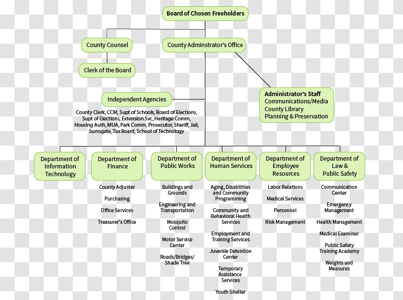 New Jersey Organizational Chart Non-profit Organisation Structure - Elmore County Public School System Transparent PNG