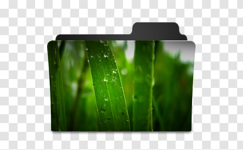 Desktop Wallpaper Computers High-definition Television - Moisture - Burning Grass Jelly Transparent PNG