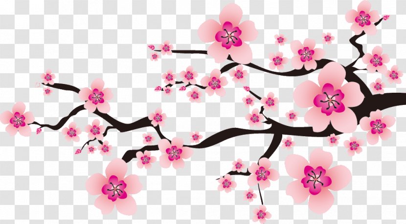 Plum Blossom Peach Drawing Clip Art - Spring Transparent PNG